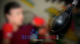 Personal Boxing Instruction, gold coast